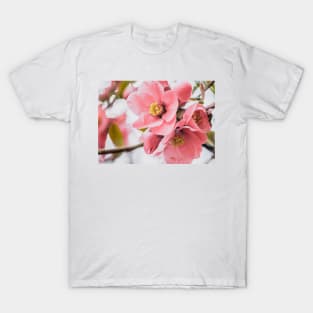 Flowering-Quince Blossom Photograph T-Shirt